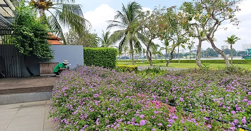 Tưới luống hoa ven sông Thảo Điền