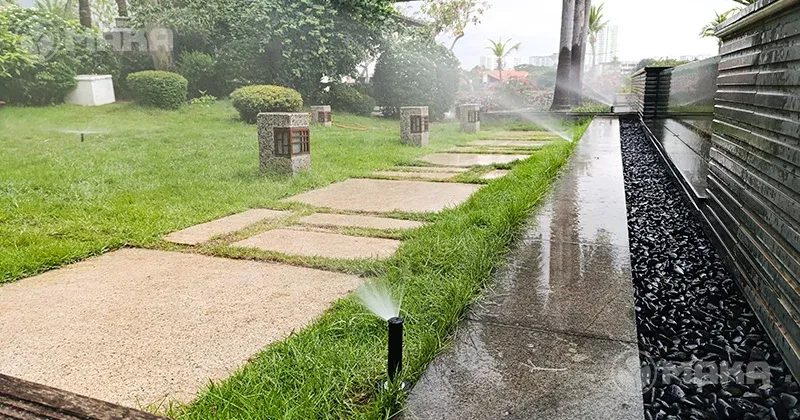 Béc tưới lối dạo hồ cá Thảo Điền